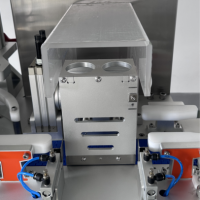 Double head Canning System